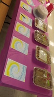 Volleyball Fundraiser
