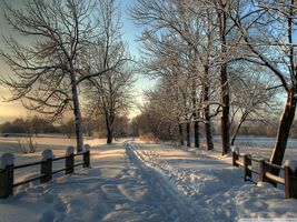 Updated Emergency Snow Routes for 2019-2020